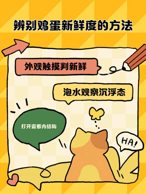 教你辨别鸡蛋新鲜度的小妙招