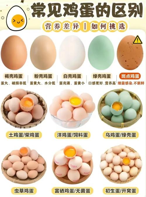 如何挑选新鲜的鸡蛋？