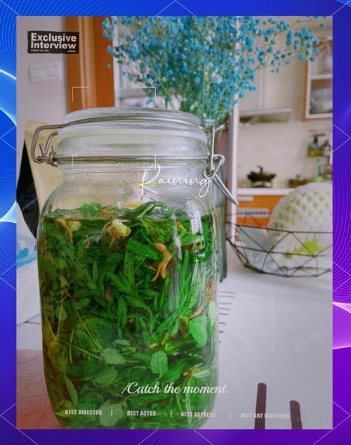 天然防蚊液怎么做？薄荷叶加酒精浸泡