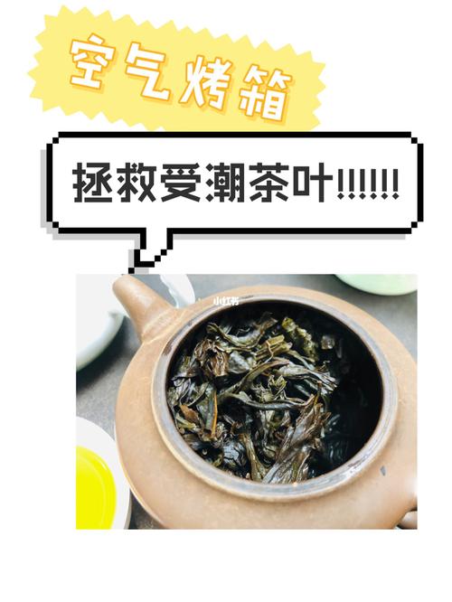 茶叶受潮了还能喝吗？烤箱低温烘干恢复口感