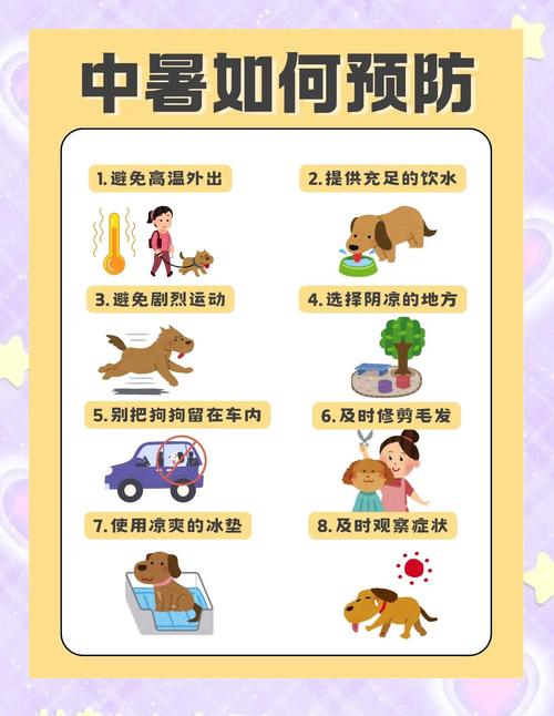 有哪些预防中暑的应急措施？