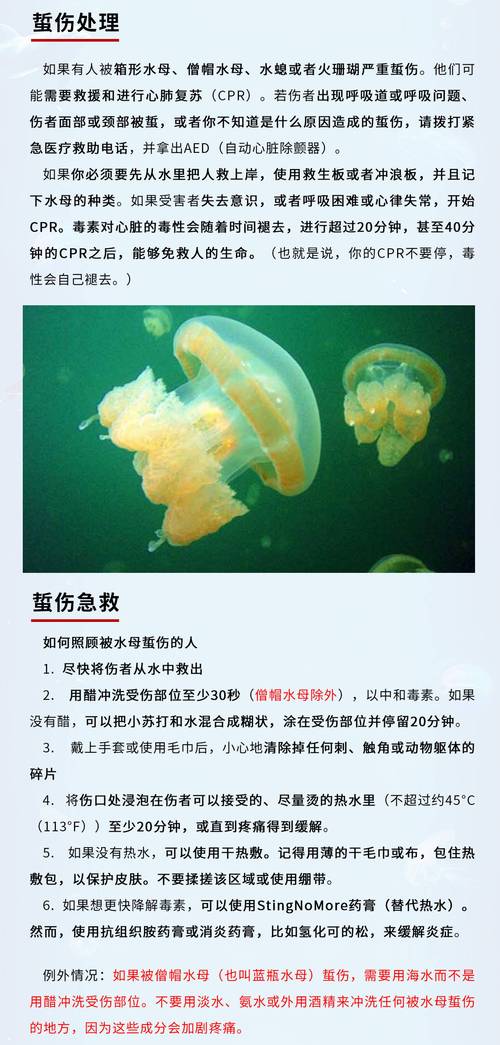 被水母蜇伤后该用尿液冲洗?