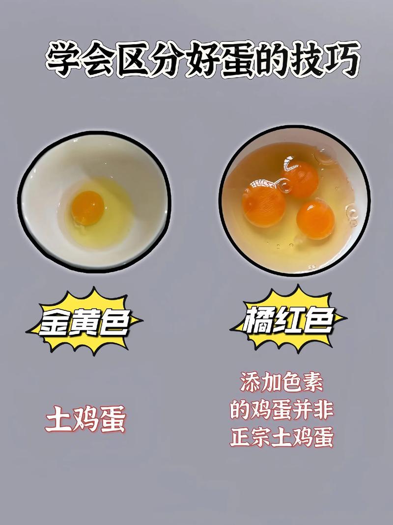 挑选鸡蛋的实用小妙招