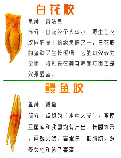 为什么鱼会有鱼鳔？