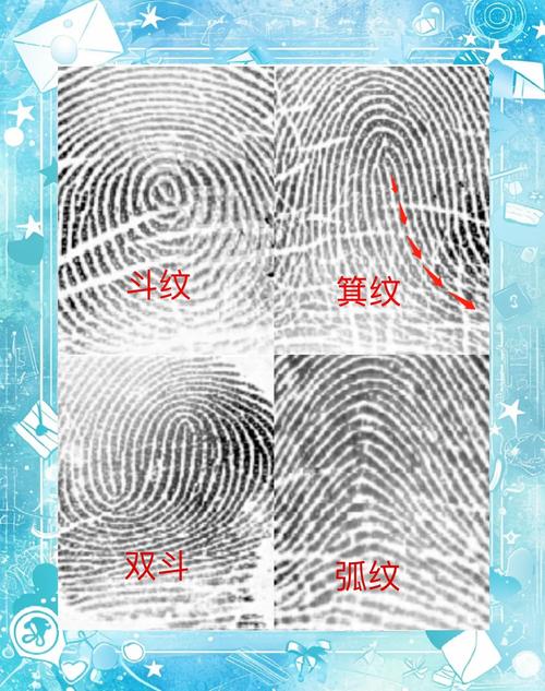 为什么人会有指纹斗和箕？