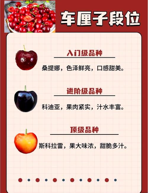 怎样挑选新鲜的车厘子？