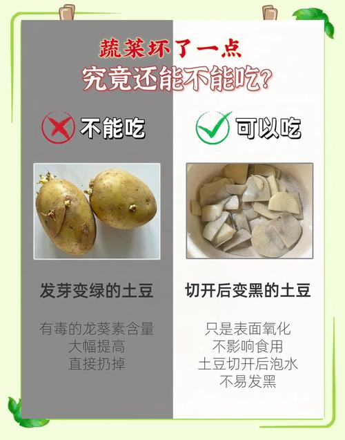 发芽土豆挖掉芽眼仍有毒?