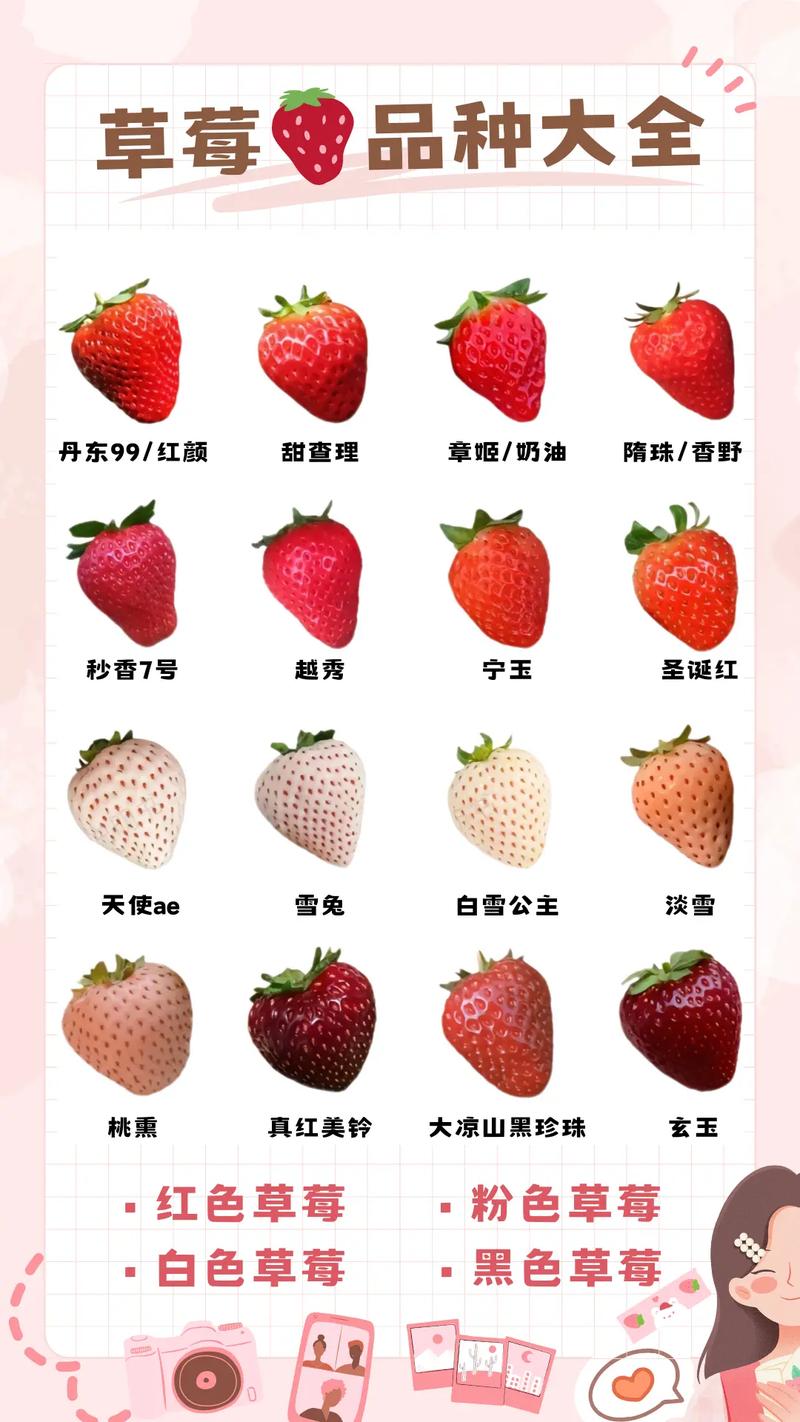 怎样挑选新鲜的草莓？