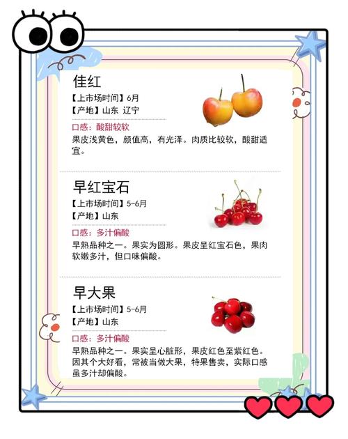怎么挑选新鲜樱桃?果梗翠绿度是重要指标