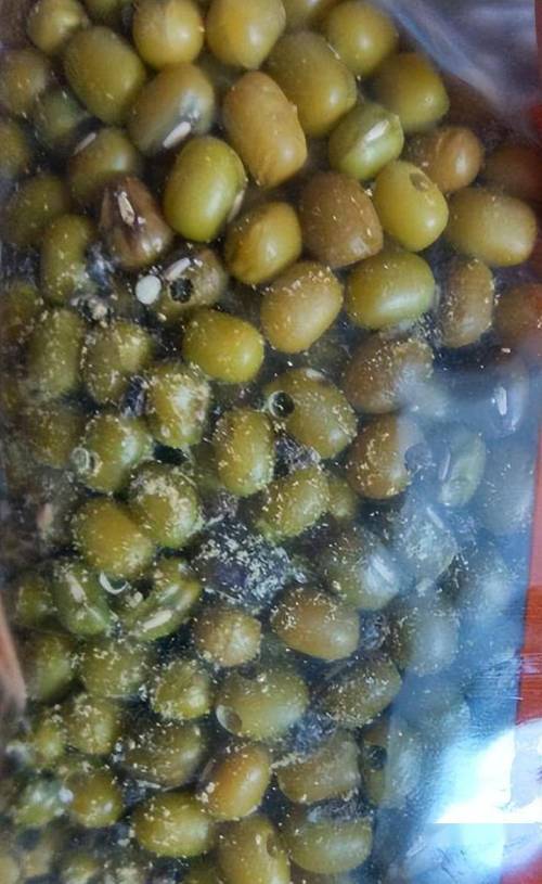 怎样储存豆类防止生虫?