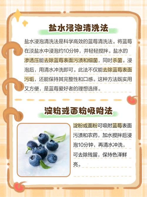 怎样去除衣服上的蓝莓果酱陈旧残渍？