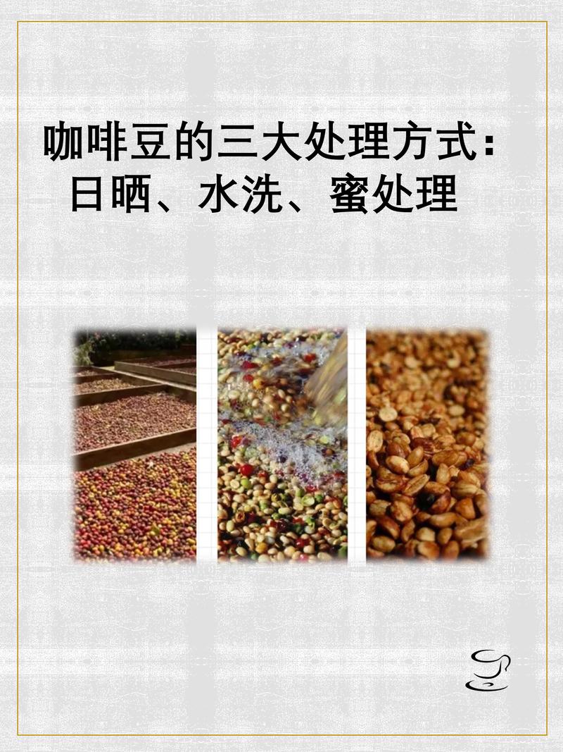 怎样储存咖啡豆保持香味？
