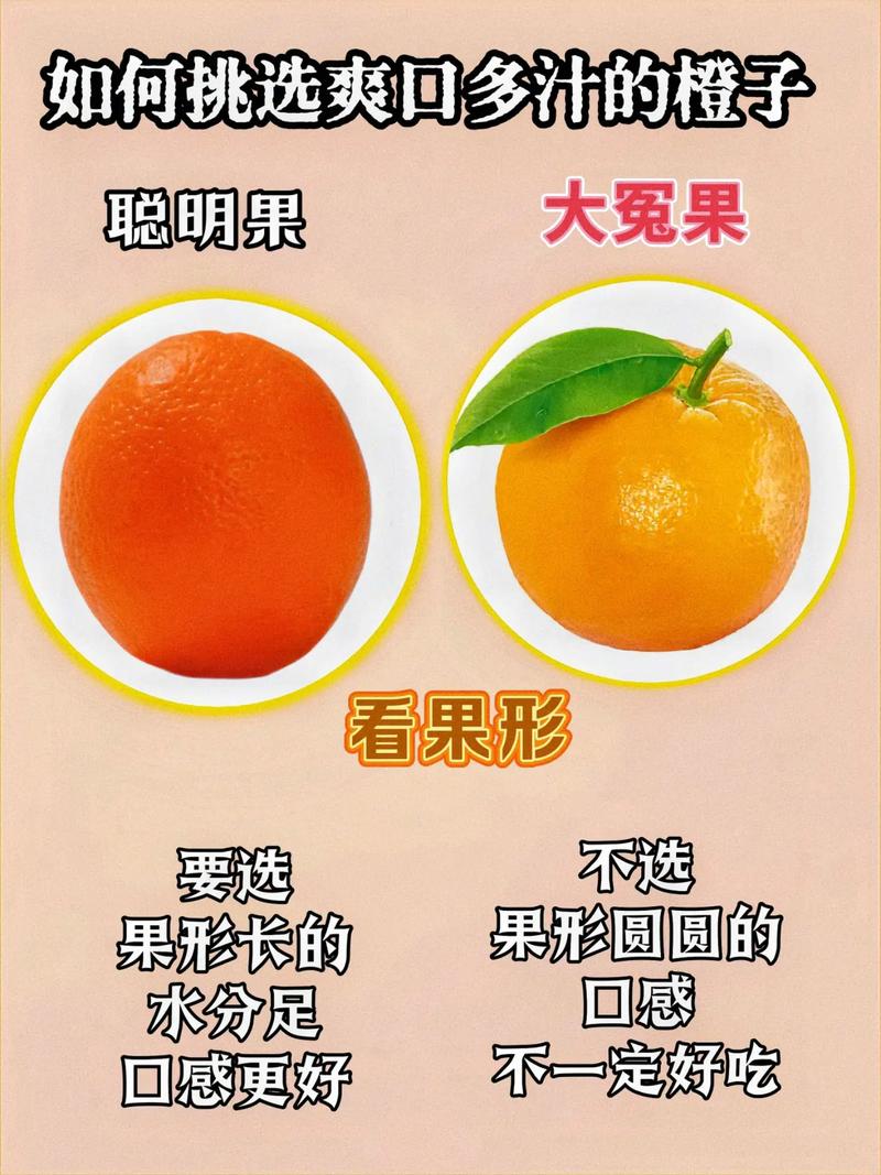 教你挑选新鲜橙子的小技巧