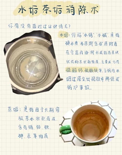 保温杯内胆茶垢怎么去除？鸡蛋壳 + 白醋摇晃法