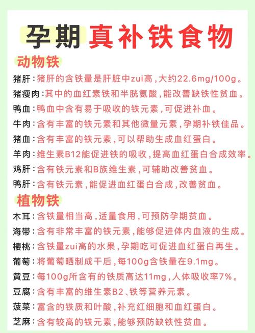 有哪些预防贫血的铁元素补充食物?
