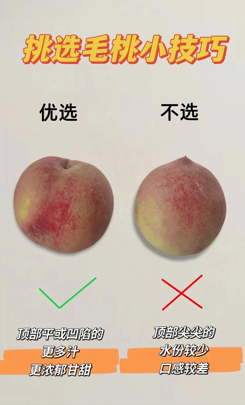 教你挑选新鲜桃子的「绒毛判断法」