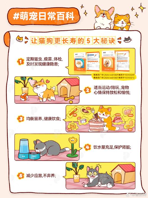 租房如何判断是否适合养宠物?实地考察技巧