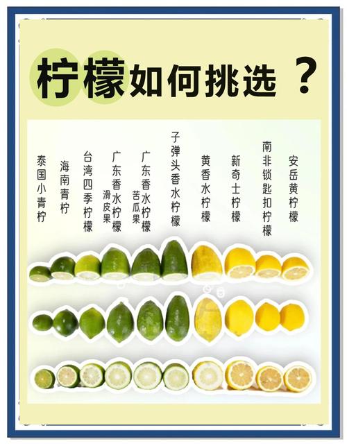 怎样挑选新鲜的柠檬?