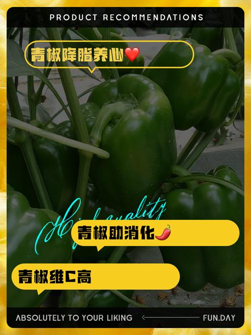 如何挑选新鲜的青椒块状食材？