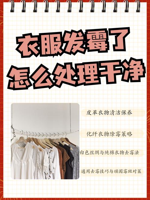 用白醋就能去除衣服上的霉斑?效果惊人