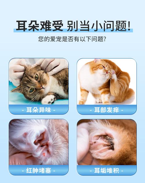 宠物耳朵发炎怎么办?宠物专用滴耳液清洁