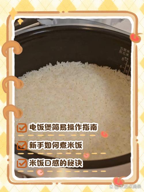 如何正确使用电饭煲?