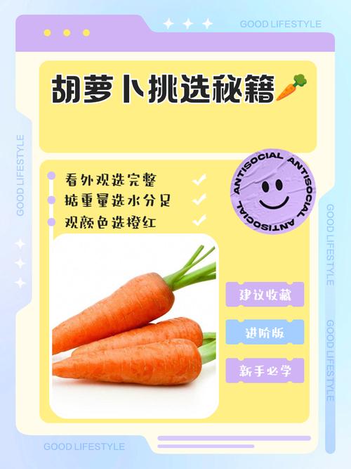 如何挑选新鲜的速冻胡萝卜丝？