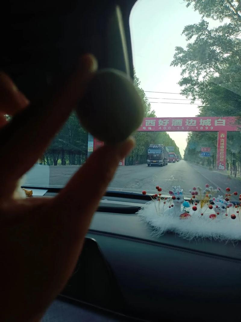 怎样挑选新鲜的杏子？