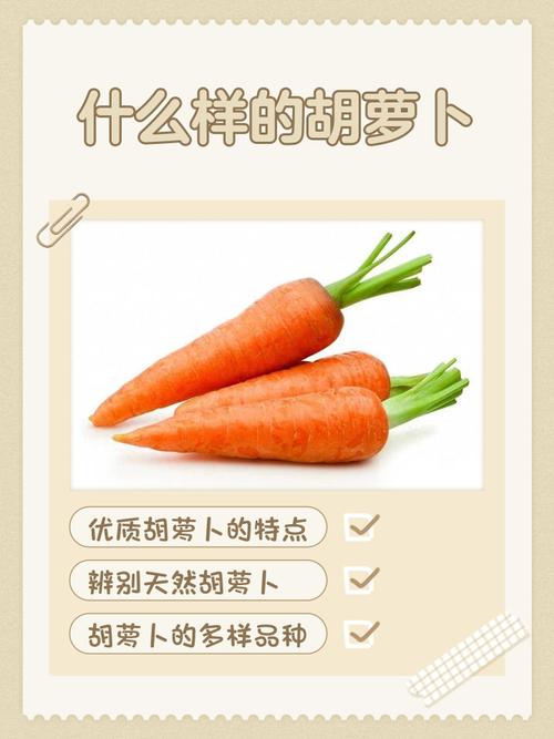 如何挑选新鲜的速冻胡萝卜碎泥？