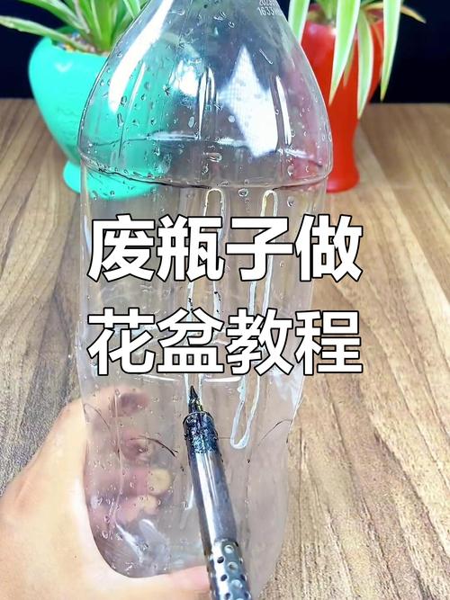 旧塑料瓶如何利用?剪开当花盆或漏斗