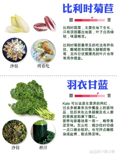 如何挑选新鲜的生菜？