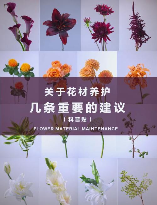 如何让鲜花保存更久？