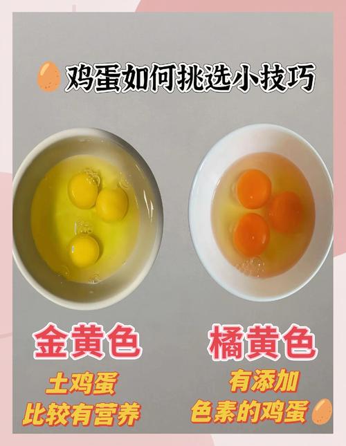 怎样挑选新鲜的鸡蛋？