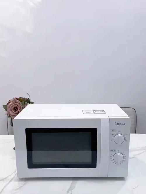 怎样清洁厨房的微波炉转盘?