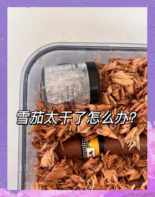 怎样去除衣服上的雪茄味？