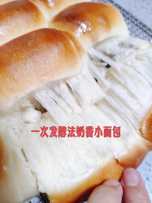 教你辨别面包是否新鲜的「按压回弹法」