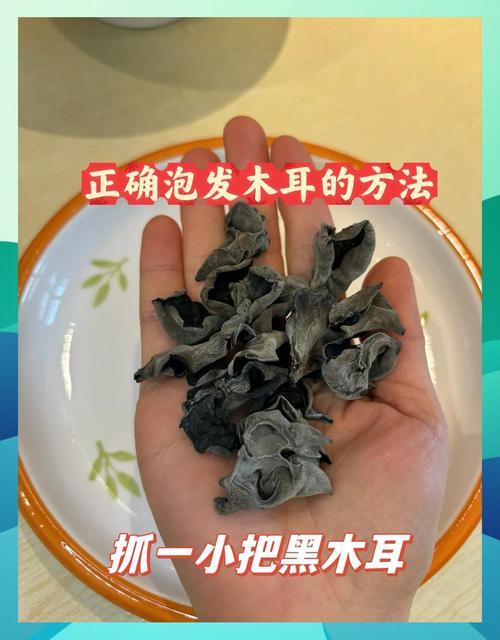 怎样泡发木耳才能缩短时间?