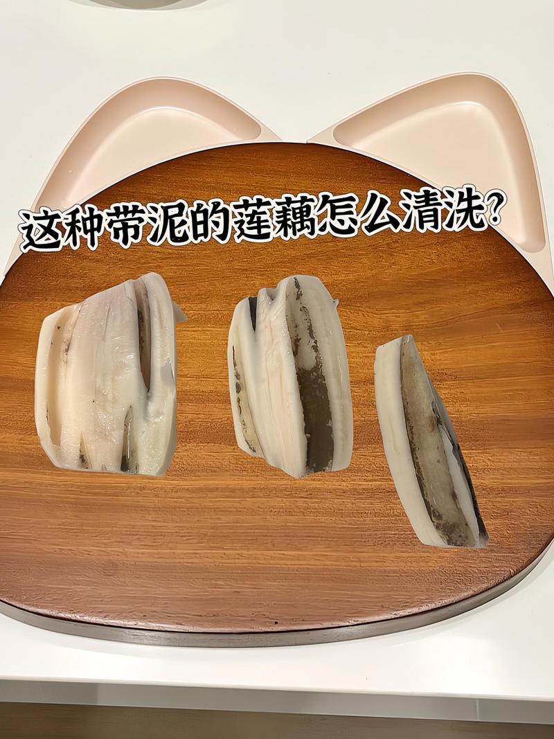 如何去除衣服上的莲藕泥污渍？