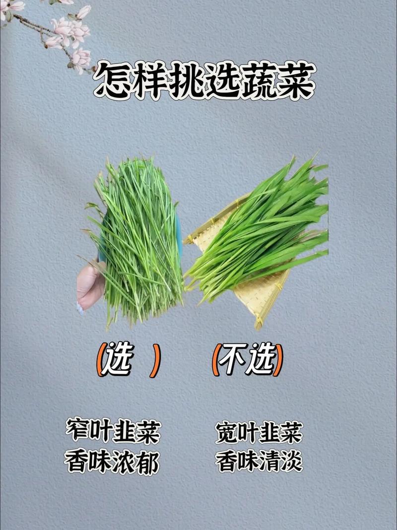 怎样挑选新鲜的生菜？