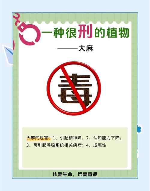 怎样去除衣服上的大麻陈列味？