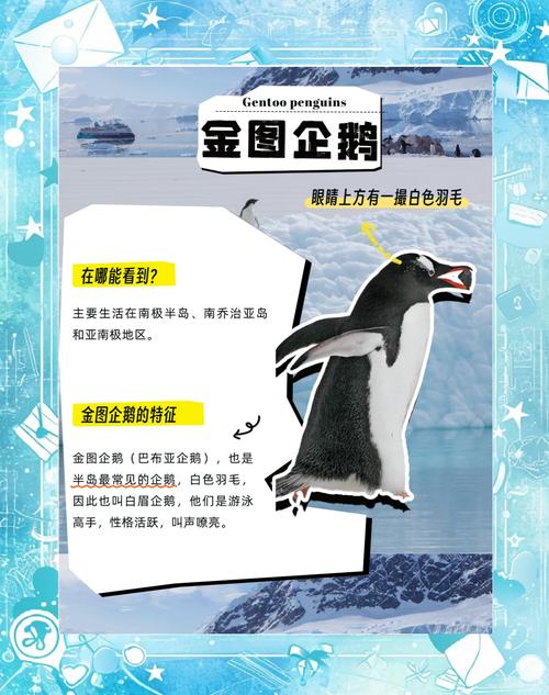 为什么企鹅会有耐寒能力？