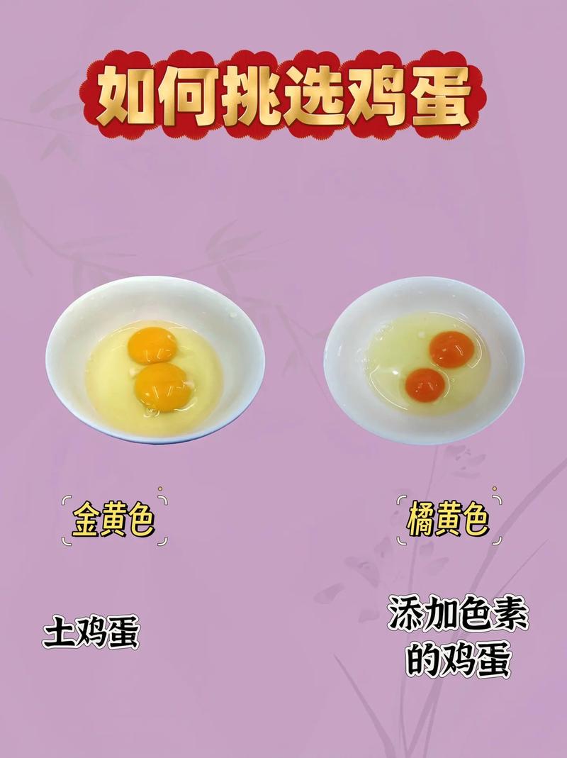 如何辨别鸡蛋是否新鲜？