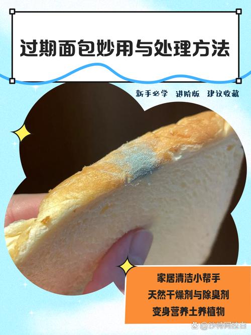 怎么判断面包是否过期?霉菌观察法要牢记