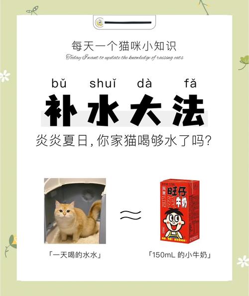 为什么夏天要给宠物准备充足的水?