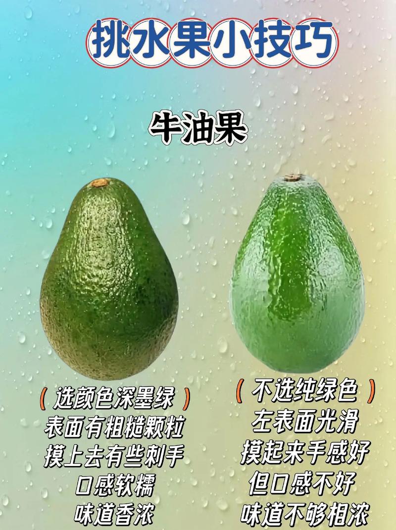 怎样挑选新鲜的牛油果?