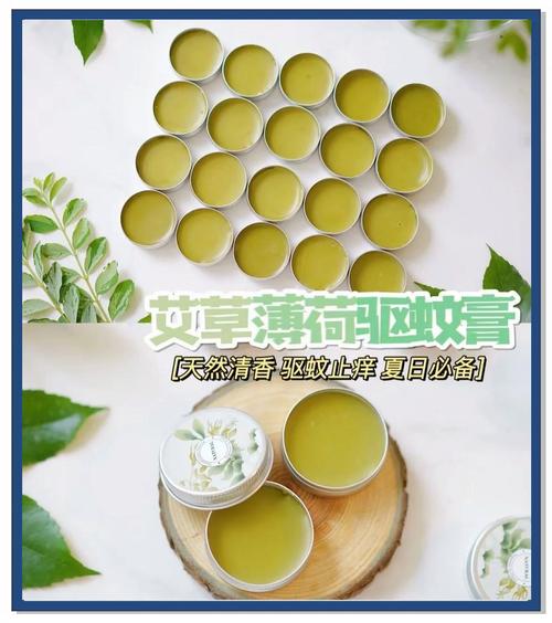 夏季驱蚊怎么做？薄荷盆栽 + 驱蚊液