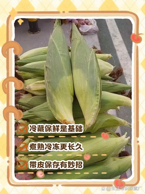 如何挑选新鲜的玉米棒状食材?