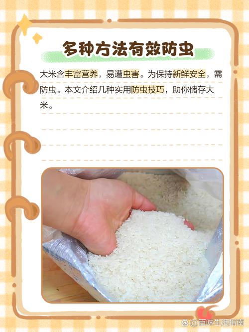 怎样正确储存大米防止生虫？