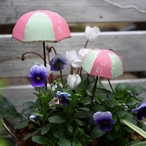 旧雨伞改造成花盆，创意又美观