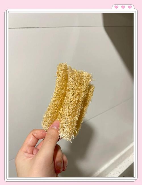 自制天然洗碗海绵,用丝瓜瓤就能做